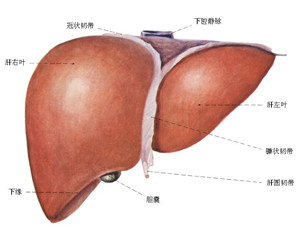 没有结石的胆囊炎是否要手术