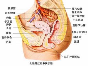 直肠息肉的七大症状是什么